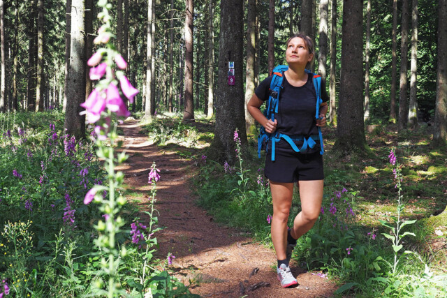 Wandern auf dem Saar-Hunsrück-Steig